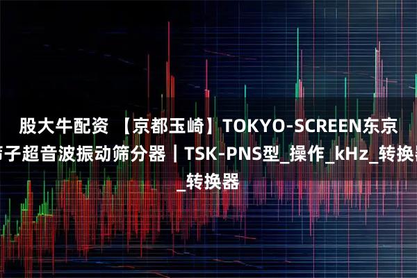 股大牛配资 【京都玉崎】TOKYO-SCREEN东京筛子超音波振动筛分器｜TSK-PNS型_操作_kHz_转换器
